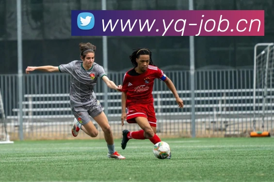 App Interface Preview